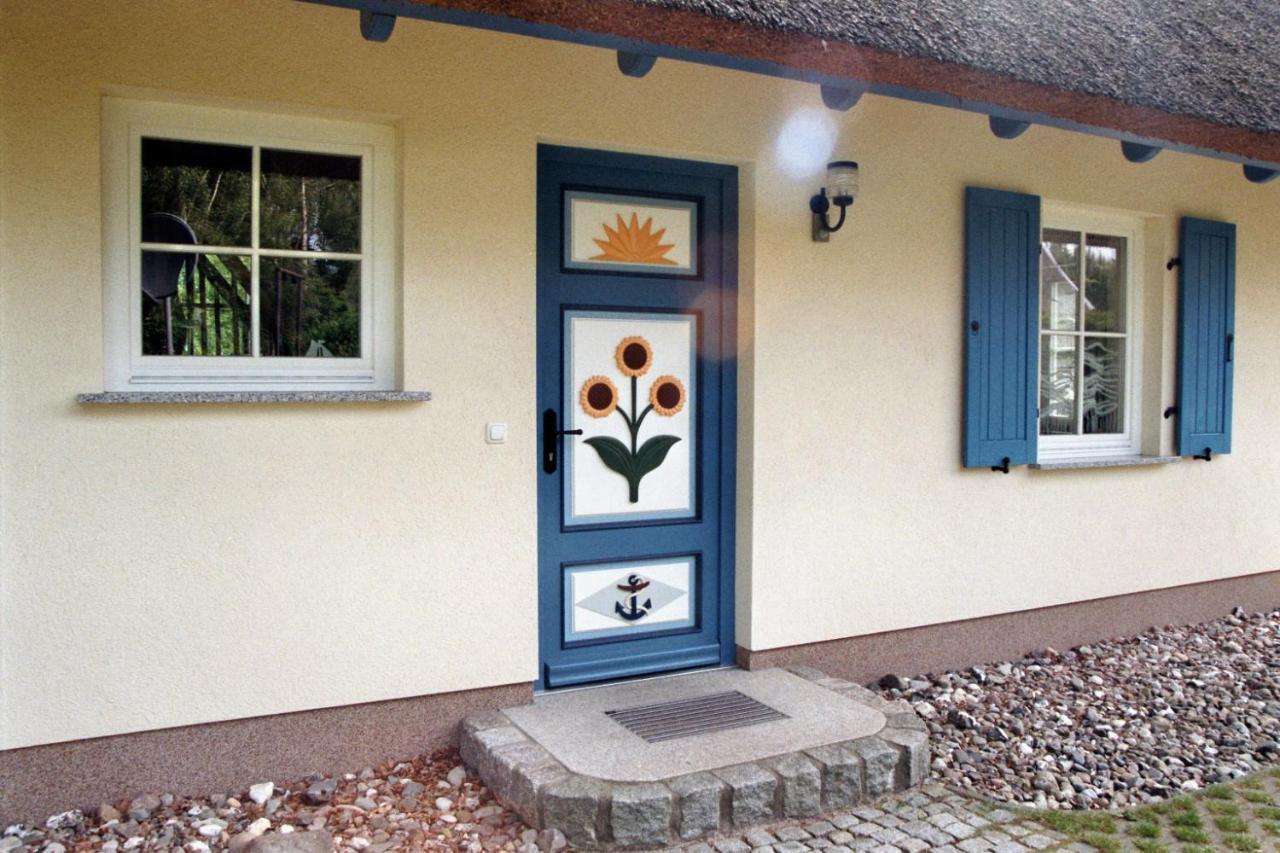 Ferienhaus Mine Sehnsucht Dierhagen Luaran gambar